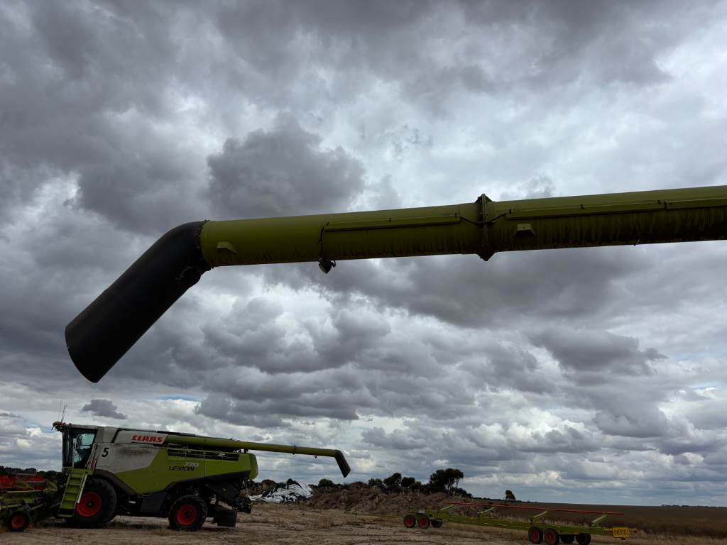 2019 CLAAS LEXION 770